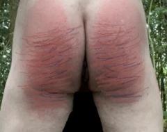 Im Wald den Hintern striemen:
